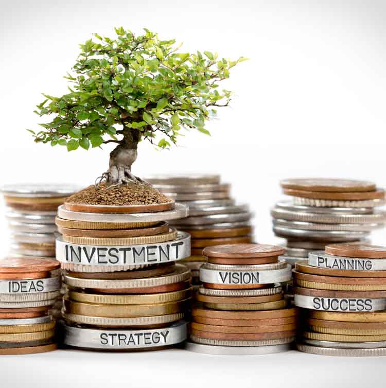 Business Management & Finance
